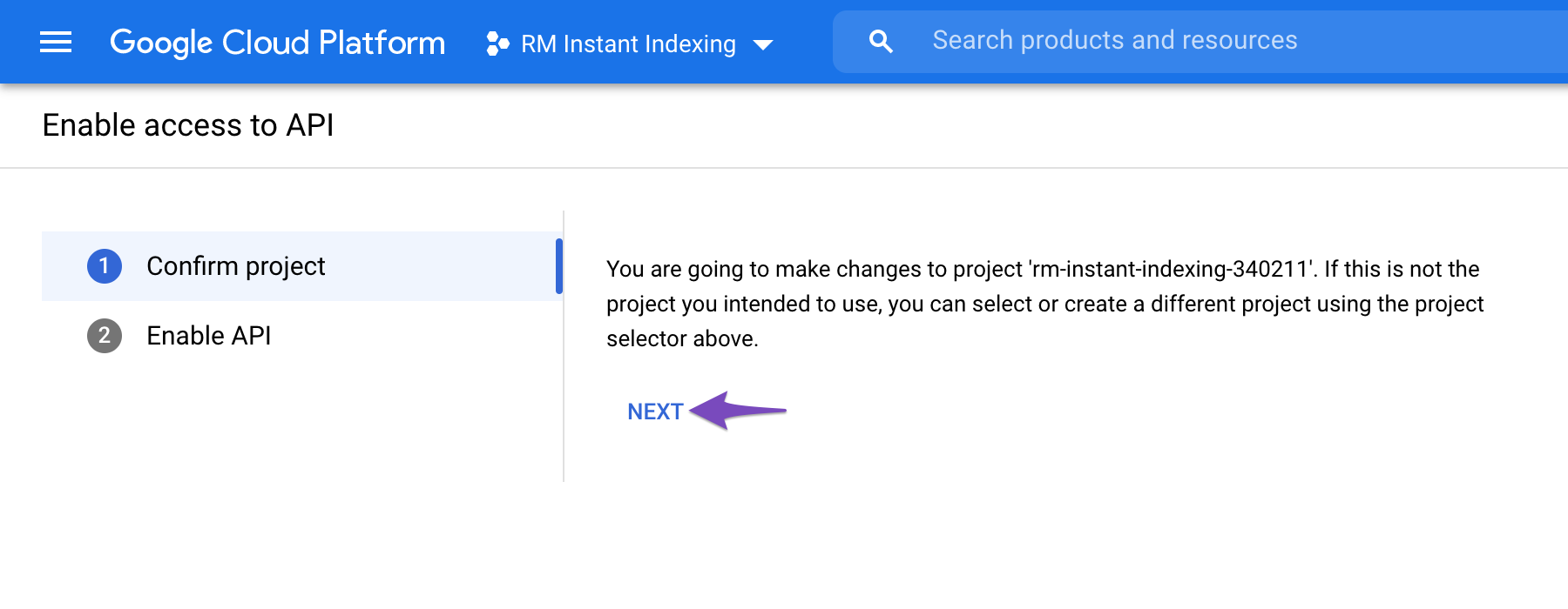 Enable Access To Google Cloud Index API