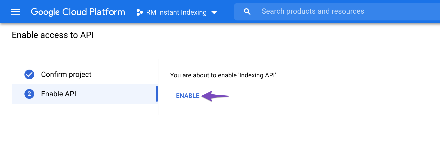 Enable Google Index API